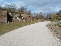 Valley of Roses in Killesbergpark Stuttgart with blooming roses and lush greenery