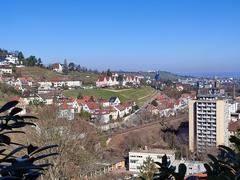 View from Birkenwaldstraße overlooking Stuttgart with forest and cityscape