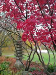 Japanese garden between Villa Berg Park and Lower Castle Garden in Stuttgart