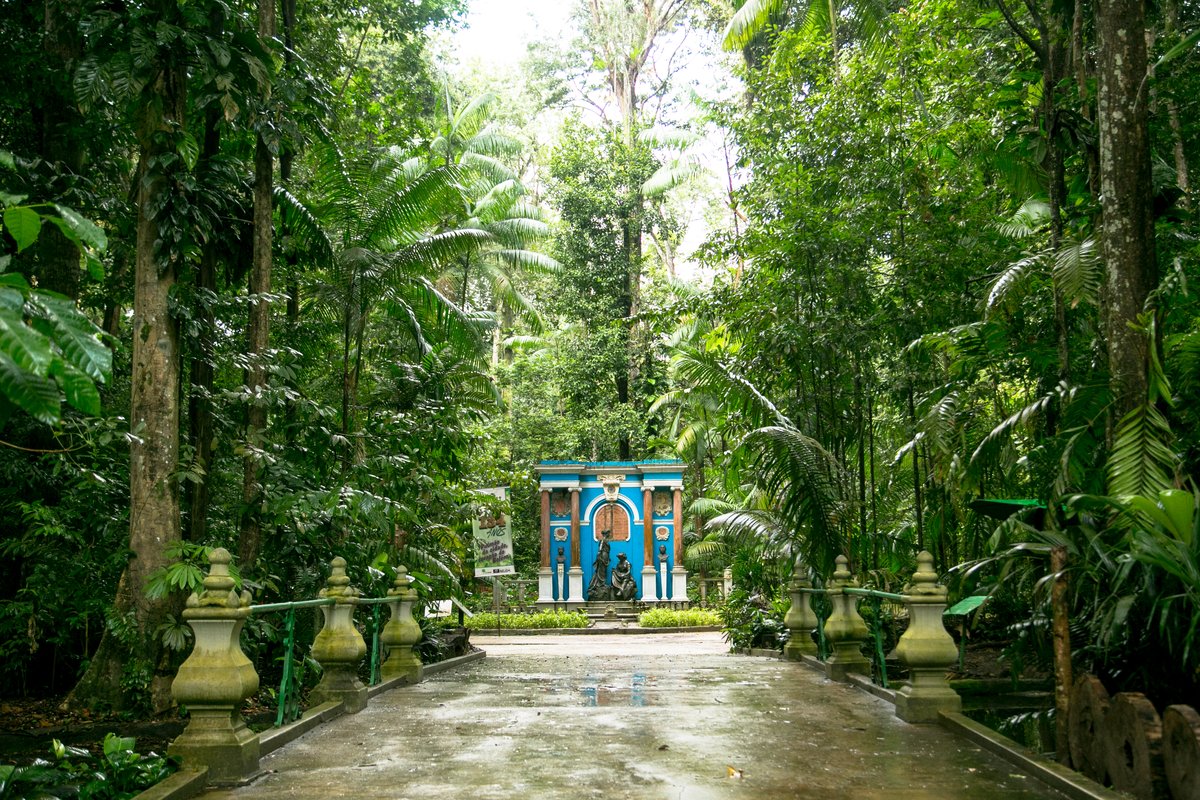 Bosque Rodrigues Alves Complete Guide To Visiting Hours Tickets And Bosque Rodrigues Alves Complete Guide To Visiting Hours Tickets And