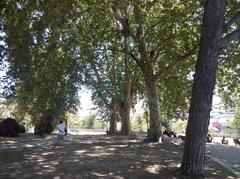 Garden in Lisbon Portugal with lush greenery and walking paths