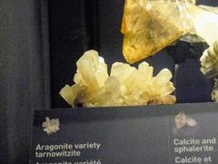 Aragonite variety mineral specimen at Canadian Museum of Nature Ottawa