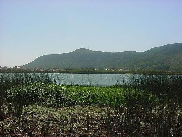 Scenic view of Morro de Osório mountain covered with green vegetation under a blue sky