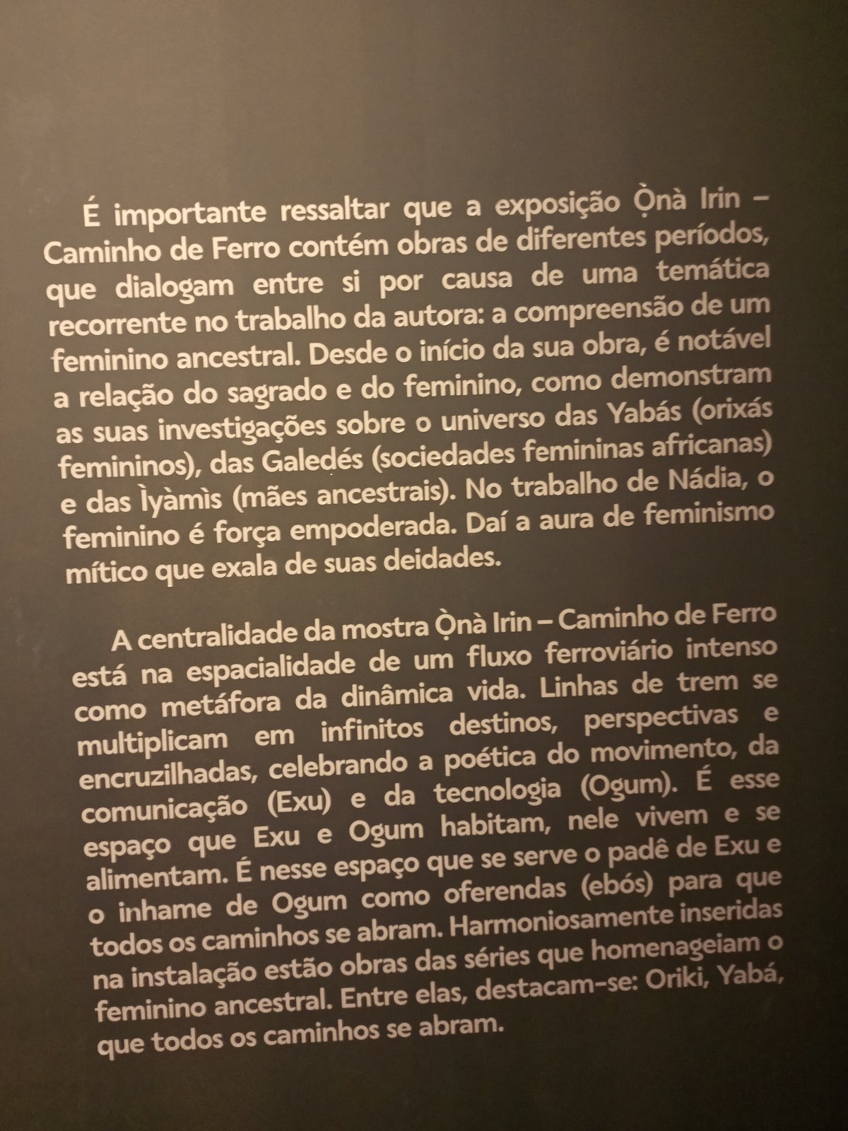 Art exhibition Onà Irin - Caminho de Ferro by Nádia Taquary at Museu de Arte do Rio MAR