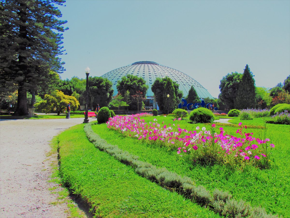Flower-filled garden with vibrant colors and fresh greenery in Oporto City, Portugal