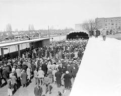 Davisville