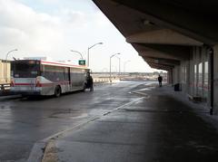Wilson TTC subway station platform in Toronto with passengers, yellow safety line and signage