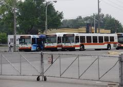 Mississauga Transit buses at Islington station in Toronto