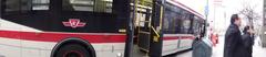 TTC bus 8174 stopped at Sherbourne and Bloor intersection in Toronto