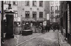 Törneska House viewed from Brända tomten at the turn of the last century