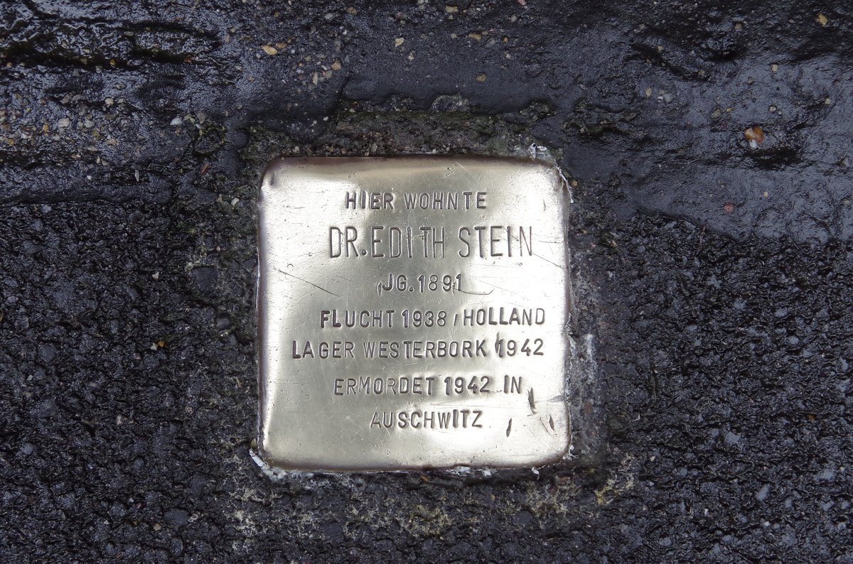 Stolperstein dedicated to Dr. Edith Stein in Freiburg Im Breisgau