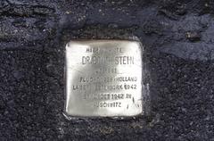 Stolperstein Dedicated To Dr. Edith Stein (Goethestraße 63)