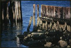 McCorkle Fishing Pier at Castle Island Boston Harbor recreation area