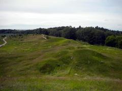 Old Upsala smaller tumuli burial mounds in Gamla Uppsala Sweden