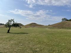 Young relatives running on ancient royal grave mounds during a family reunion at Old Upsala, Sweden