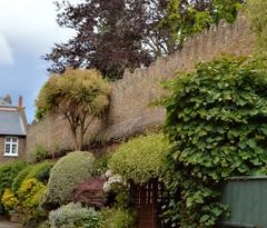 Tudor Wall at the back of Richmond Palace from Friars Lane