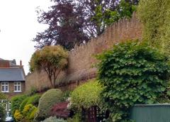 Tudor Wall at the back of Richmond Palace from Friars Lane