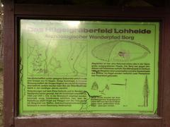 Information board about the Lohheide barrow field near Borg in Walsrode municipality