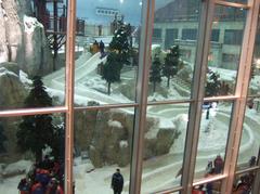 Indoor ski slope at Ski Dubai with people skiing and snowboarding