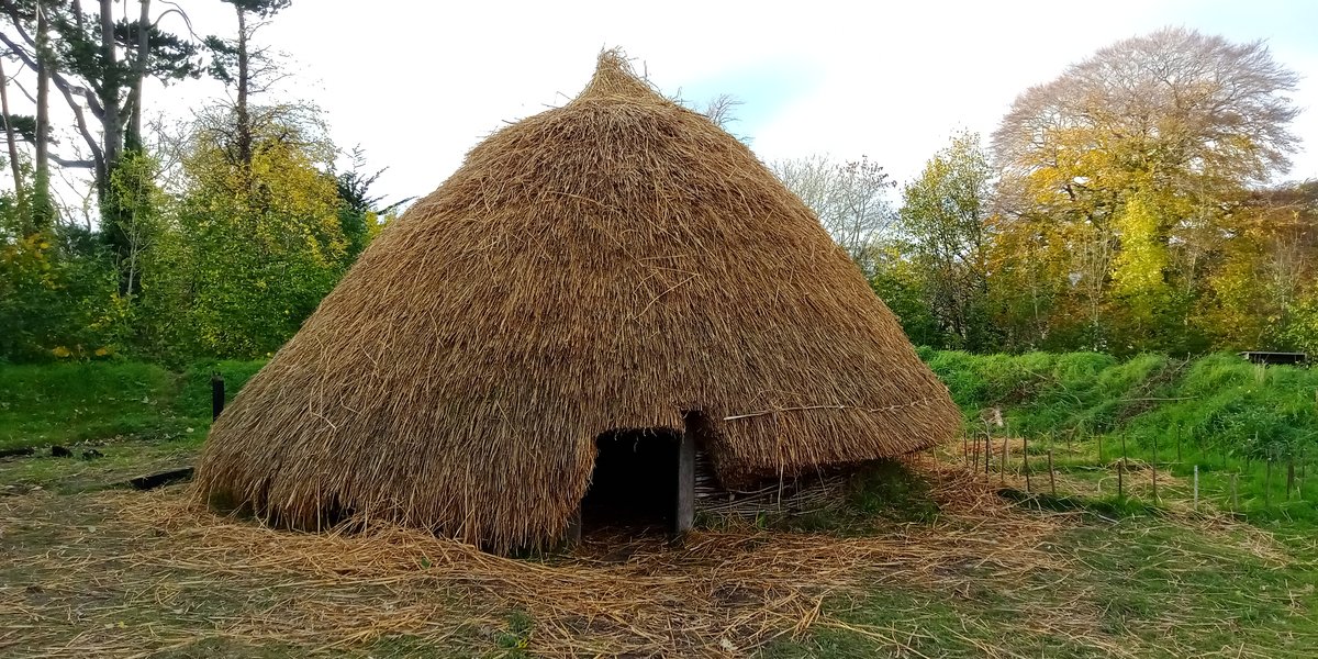 Round thatched hut reconstruction at UCD Experimental Archaeology site