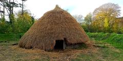 Round thatched hut reconstruction at UCD Experimental Archaeology site