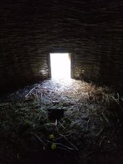 View towards the entrance of the round hut on UCD Experimental Archaeology site with fire pit and wattled walls