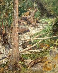 Small stream flowing through a lush forest with moss-covered rocks