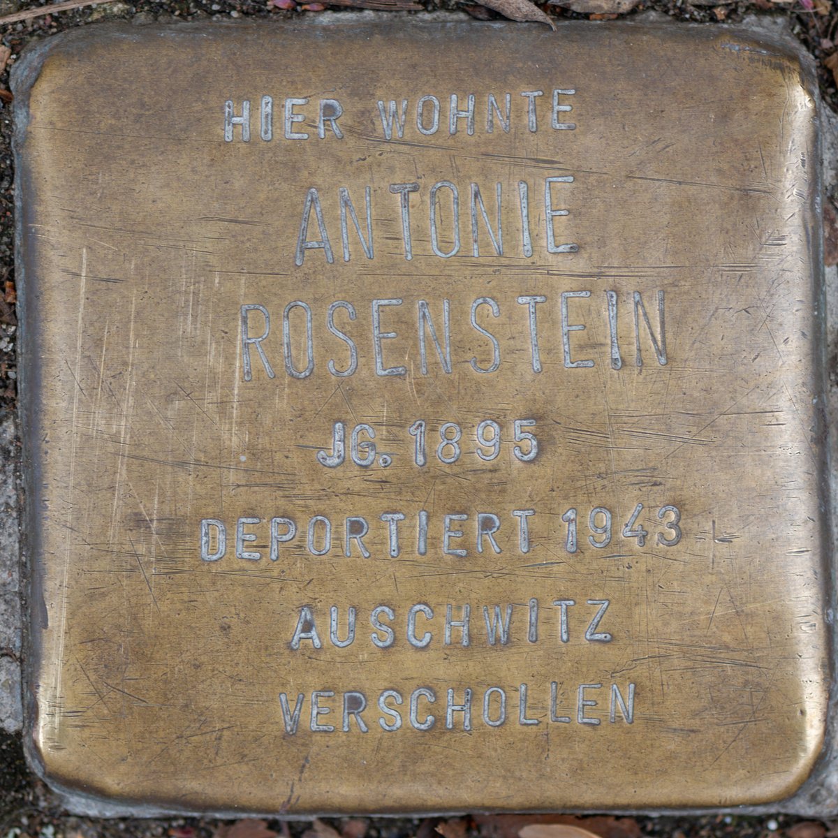 Stolperstein dedicated to Antonie Rosenstein in Nuremberg, Germany