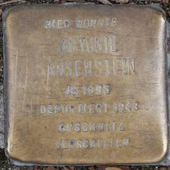 Stolperstein Dedicated To Antonie Rosenstein