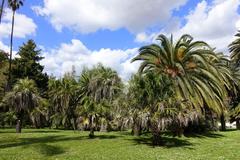 Orto Botanico botanical garden with well-maintained trees and pathways in Rome Italy
