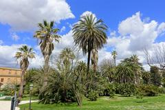 Botanical garden in Rome with diverse trees and plants under blue sky