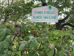 Signboard of Ixelles Ponds in September 2019