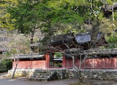 Jingo-Ji