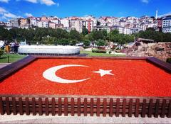 Turkish flag waving against the sky
