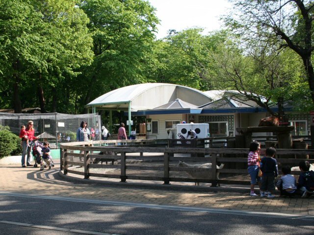 Inokashira Park Zoo goat pen in Tokyo on a sunny day