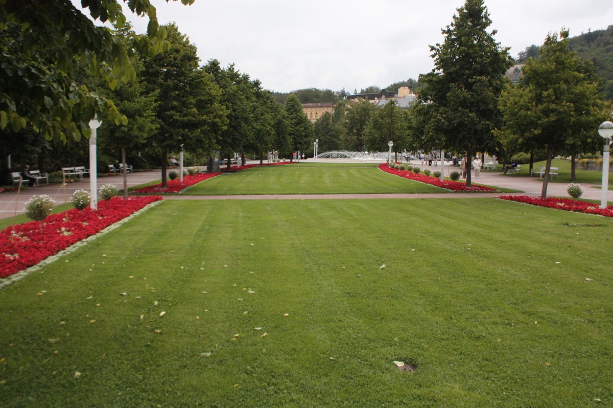 Scenic view of Mariánské Lázně park with lush green trees and well-maintained pathways