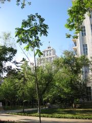 Square behind the main building at Northeast Forestry University, Harbin