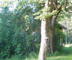 Skogvokterboligen