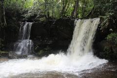 Rock carvings in Siem Reap River dating to 11th-12th century reign of Udayadityavarman II