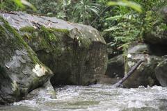 Rock carvings along Siem Reap River dating to 11th-12th century