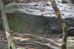 Rock carvings along Siem Reap River dating to 11th-12th century reign of Udayadityavarman II