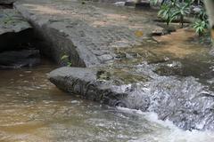 Rock carvings in the Siem Reap River from the 11th to 12th century