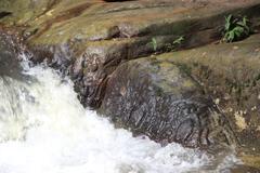 Rock carvings in Siem Reap River from the 11th-12th century reign of Udayadityavarman II