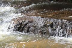 Ancient rock carvings along the Siem Reap River at Kbal Spean dating to 11th-12th century