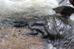 Kbal Spean