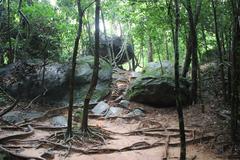 Rock carvings in the Siem Reap River dating back to 11th-12th century under Udayadityavarman II