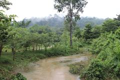 Ancient rock carvings in Siem Reap River dating back to the 11th-12th century reign of Udayadityavarman II