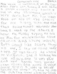 Text titled Catterina's View describing Edgar Allan Poe's cat exploring the house