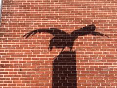 Shadow of a raven statue on a brick wall at Edgar Allan Poe National Historic Site Pennsylvania
