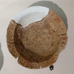 Pottery bowl excavated from the Shui Dui Wei archaeological site in Taipei, Taiwan
